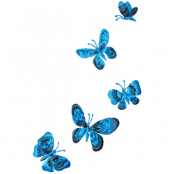 Butterfly Embroidery Design 6